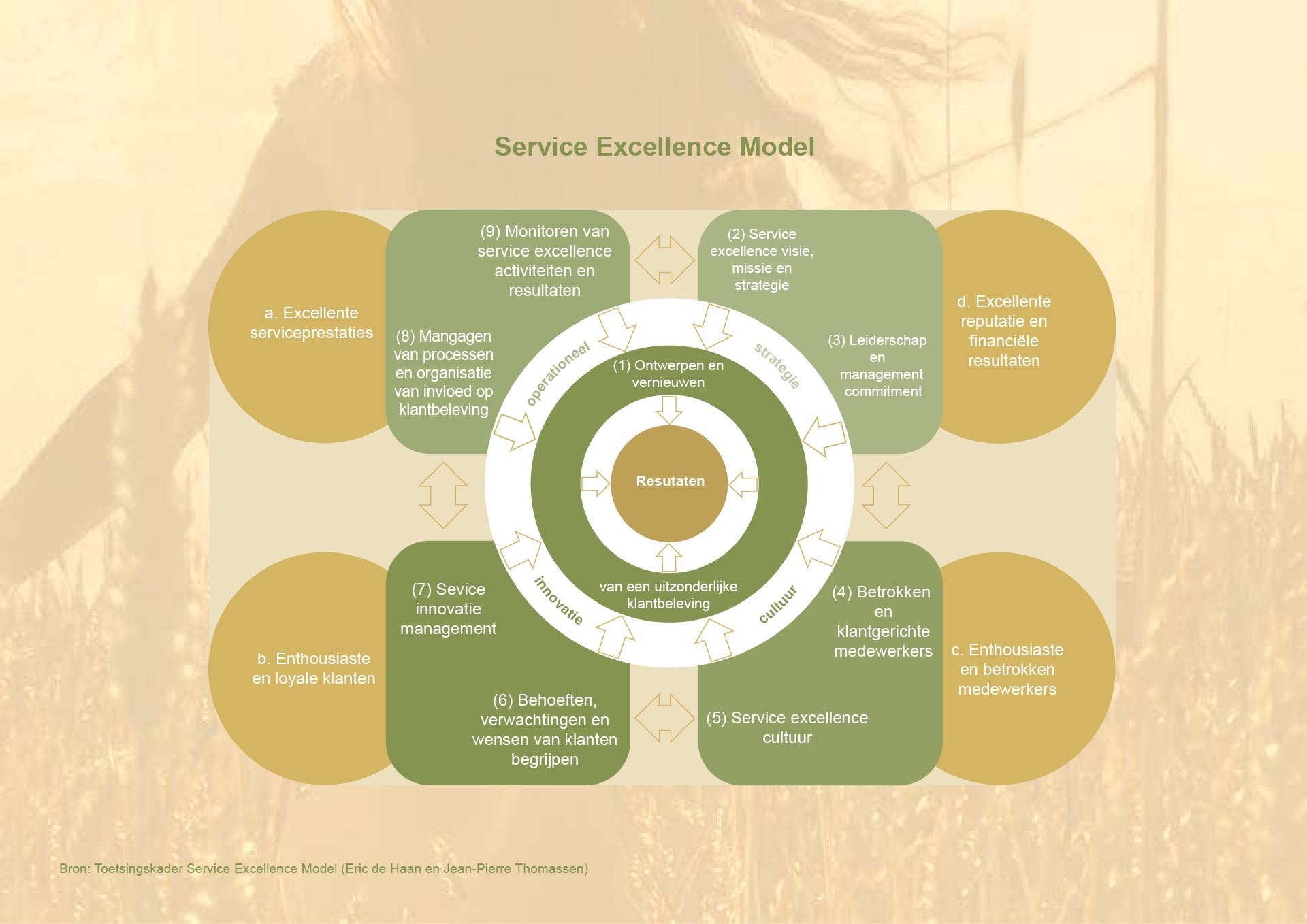 afbeelding van model Service Excellence Model
