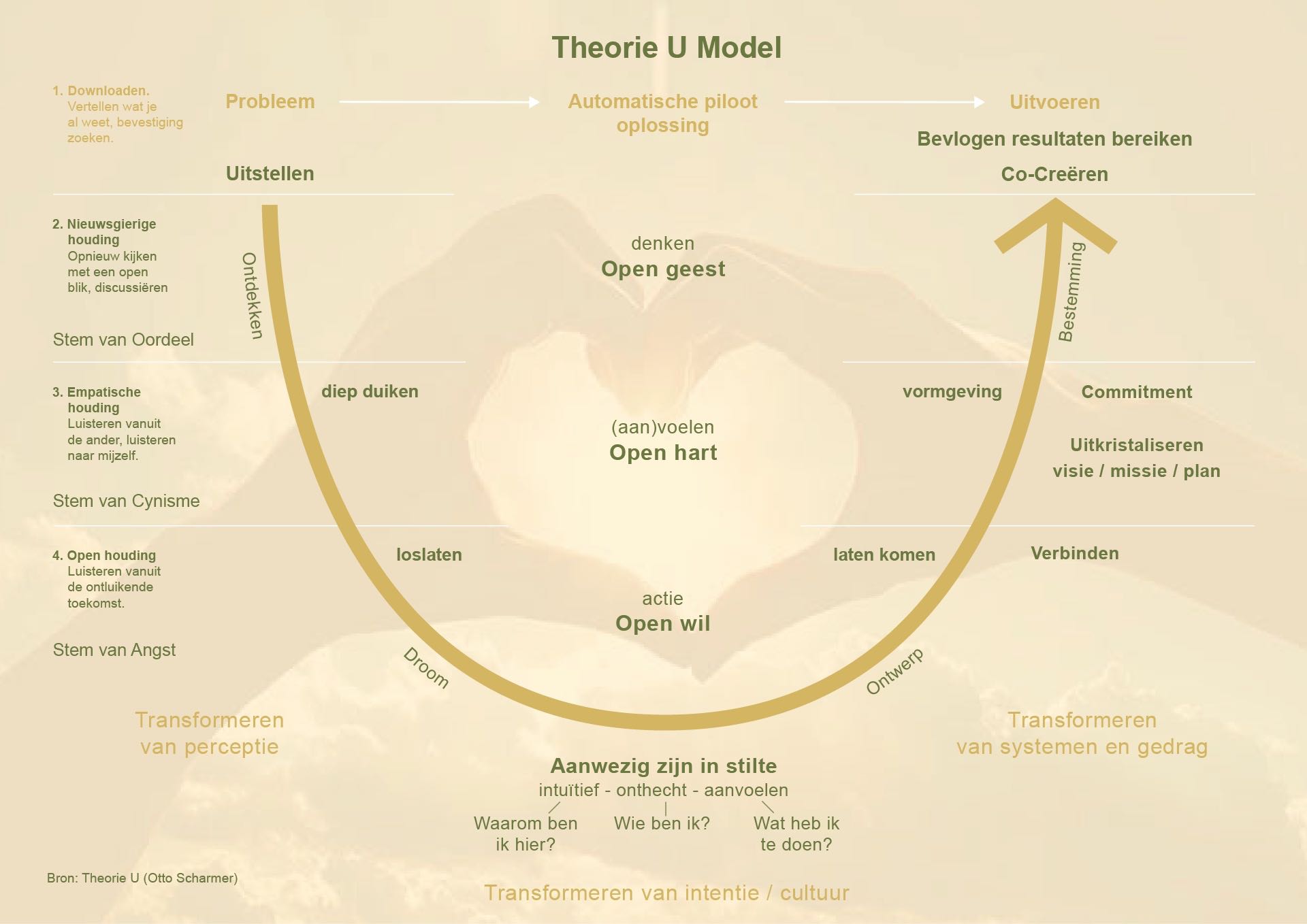 afbeelding van model Theorie U model